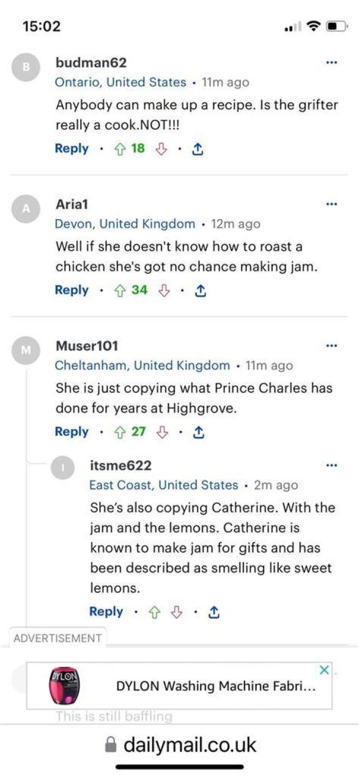 A Daily Mail reader comments on Helen Mirren’s viral photo. | Source: Daily Mail