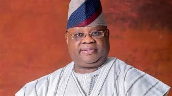 Ademola Adeleke Net Worth 2024 A Comprehensive Insight