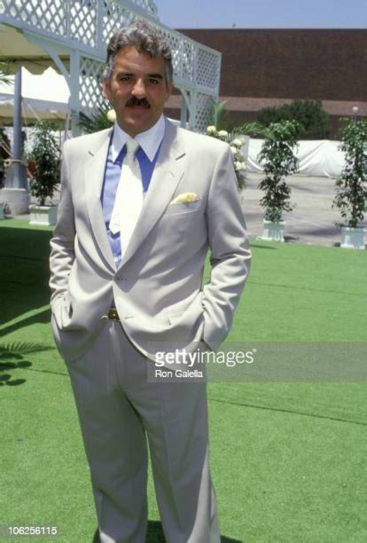 Dennis Farina during NBC Affiliates Party - June 2, 1987 at Century Plaza Hotel in Los Angeles, California | Photo: Getty Images