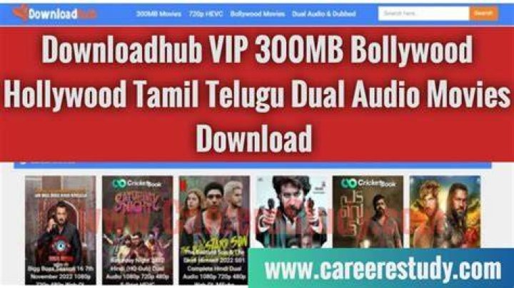 Downloadhub 2023 Hindi English Tamil Telugu Dubbed Movies Download HD (300MB) Career Study
