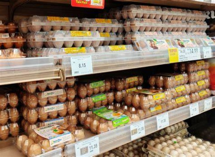 Grocery eggs