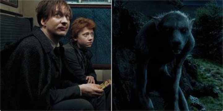 How Did Remus Lupin Become A Werewolf?