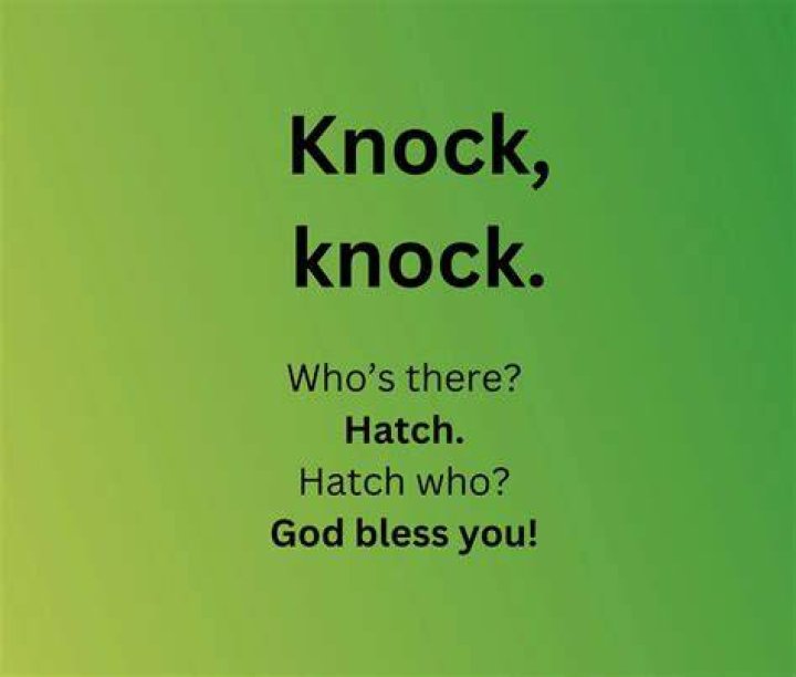 Knock Knock Jokes