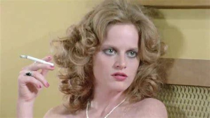 Lisa Deleeuw Facts, Bio, Career, Net Worth AidWiki