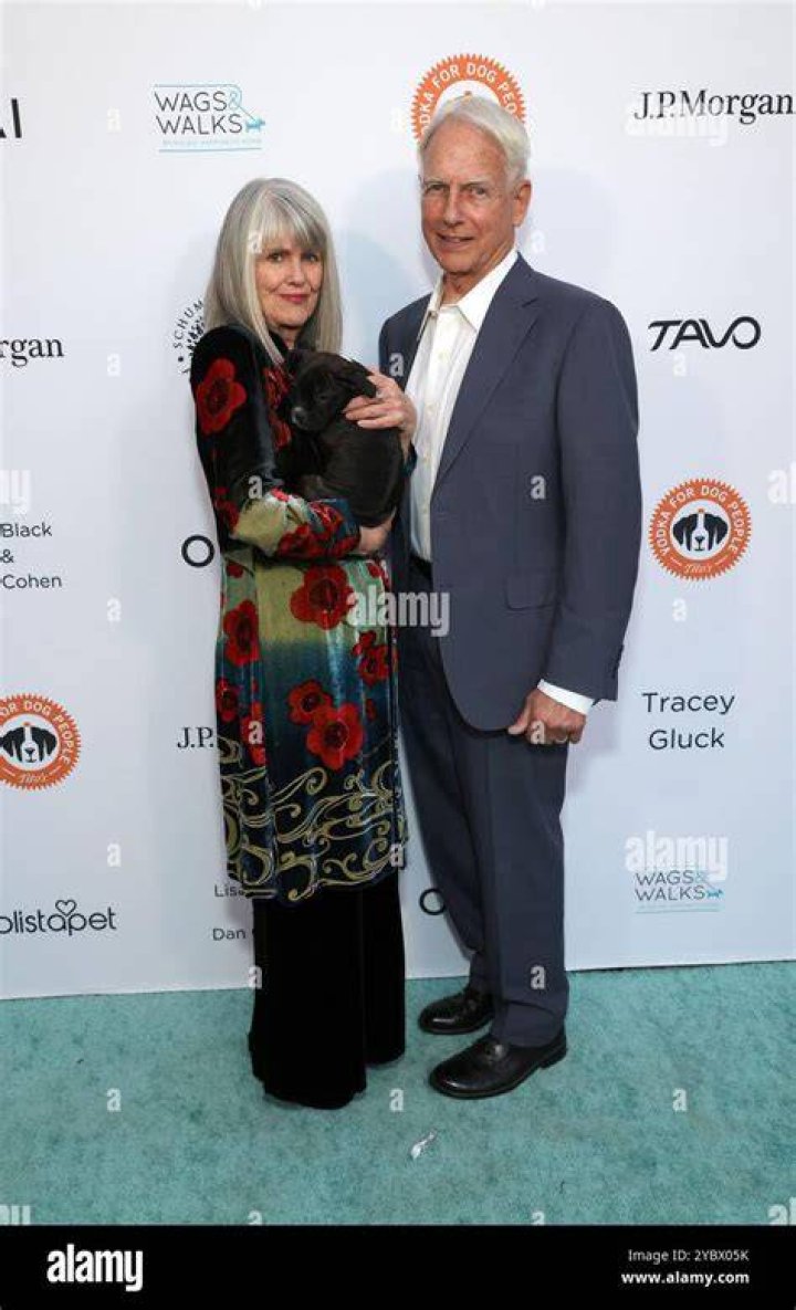 Mark Harmon and Pam Dawber at the American Film Institute in 1989 | Source: Getty Images