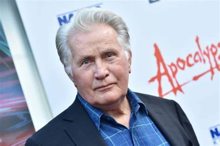 Martin Sheen at ArcLight Cinerama Dome on August 12, 2019 in Hollywood, California. | Photo: Getty Images