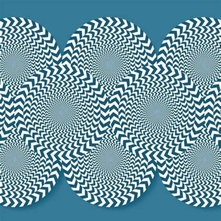Mind Blowing Optical illusion: Can you spot the Hidden Blue Eyed Fox in this Image within 15 Seconds Mind Blowing Optical illusion: Can you spot the Hidden Blue Eyed Fox in this Image within 15 Seconds