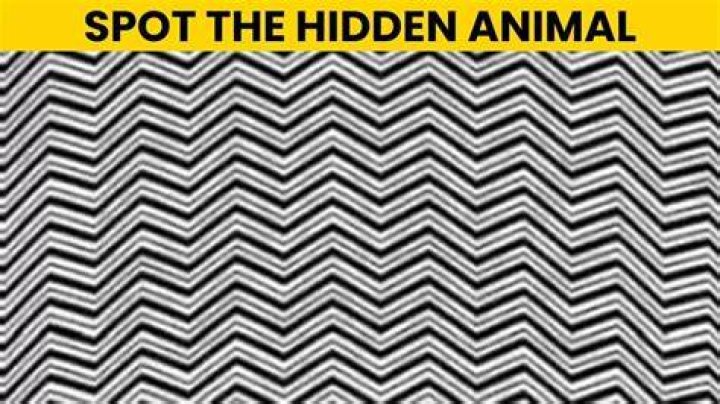 Optical Illusion IQ Test: If You Able To Identify The A Negative Among These A Positive Within 20 Seconds You Are A Brilliant Optical Illusion IQ Test: If You Able To Identify The A Negative Among These A Positive Within 20 Seconds You Are A Brilliant