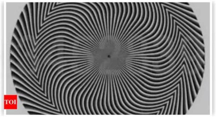 Optical Illusion: Only a Genius can find the Hidden Tiger in this Image