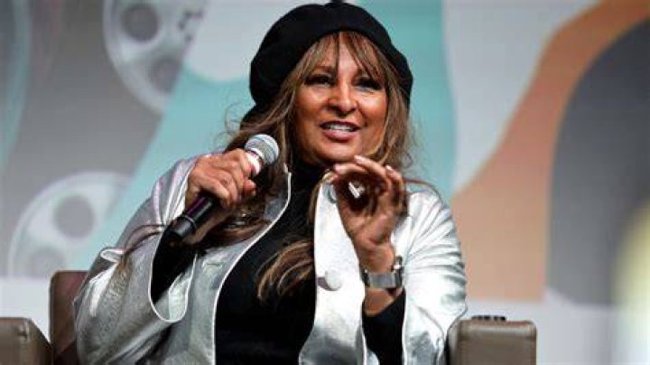 Pam Grier speaking at the 2014 Winter Television Critics Association tour on January 9, 2014 in Pasadena, California. | Source: Getty Images