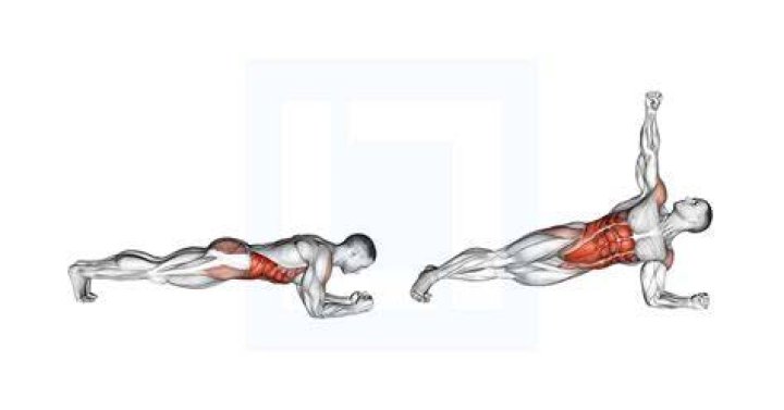plank twist