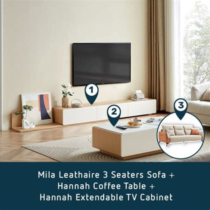 The living room of Mila Kunis' parents' condo | Source: