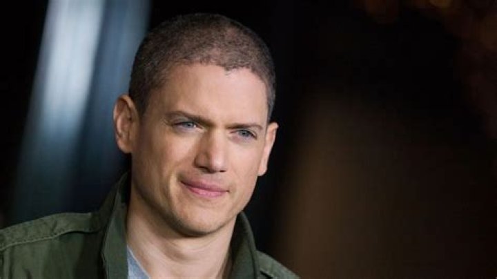Wentworth Miller I'm gay Fox News