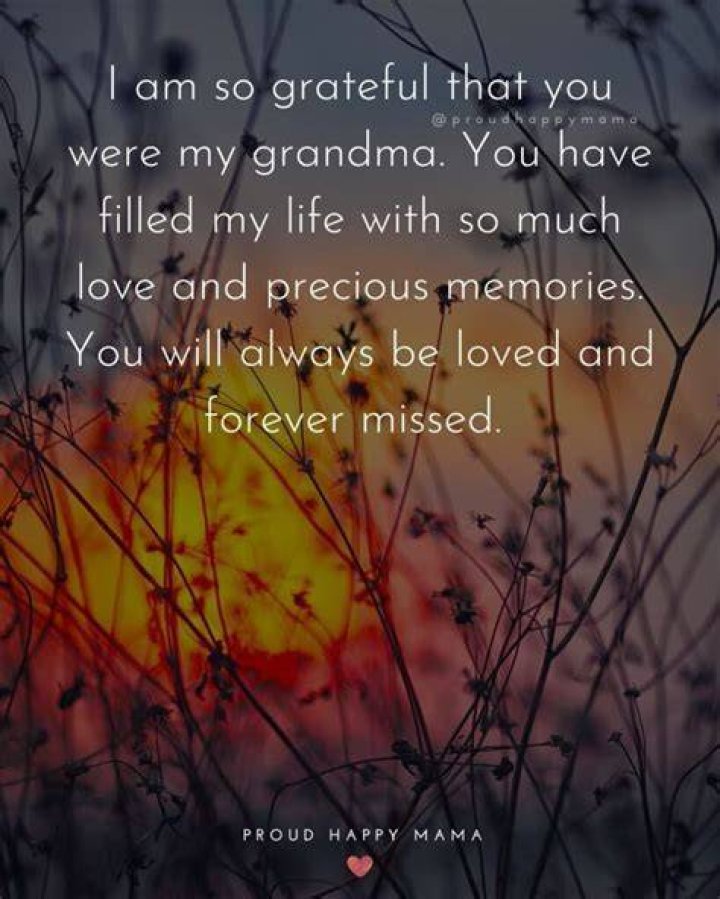 Your Grandmother will be missed and she will never be May her soul rest in peace